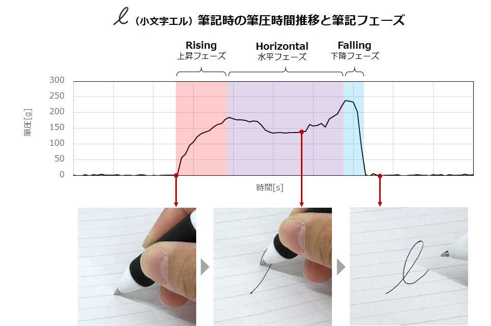 筆記時の筆圧時間推移と筆記フェーズ