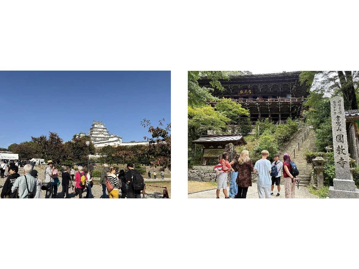 Himeji Castle of Light 『DANDELION PROJECT 姫路城×NAKED, INC