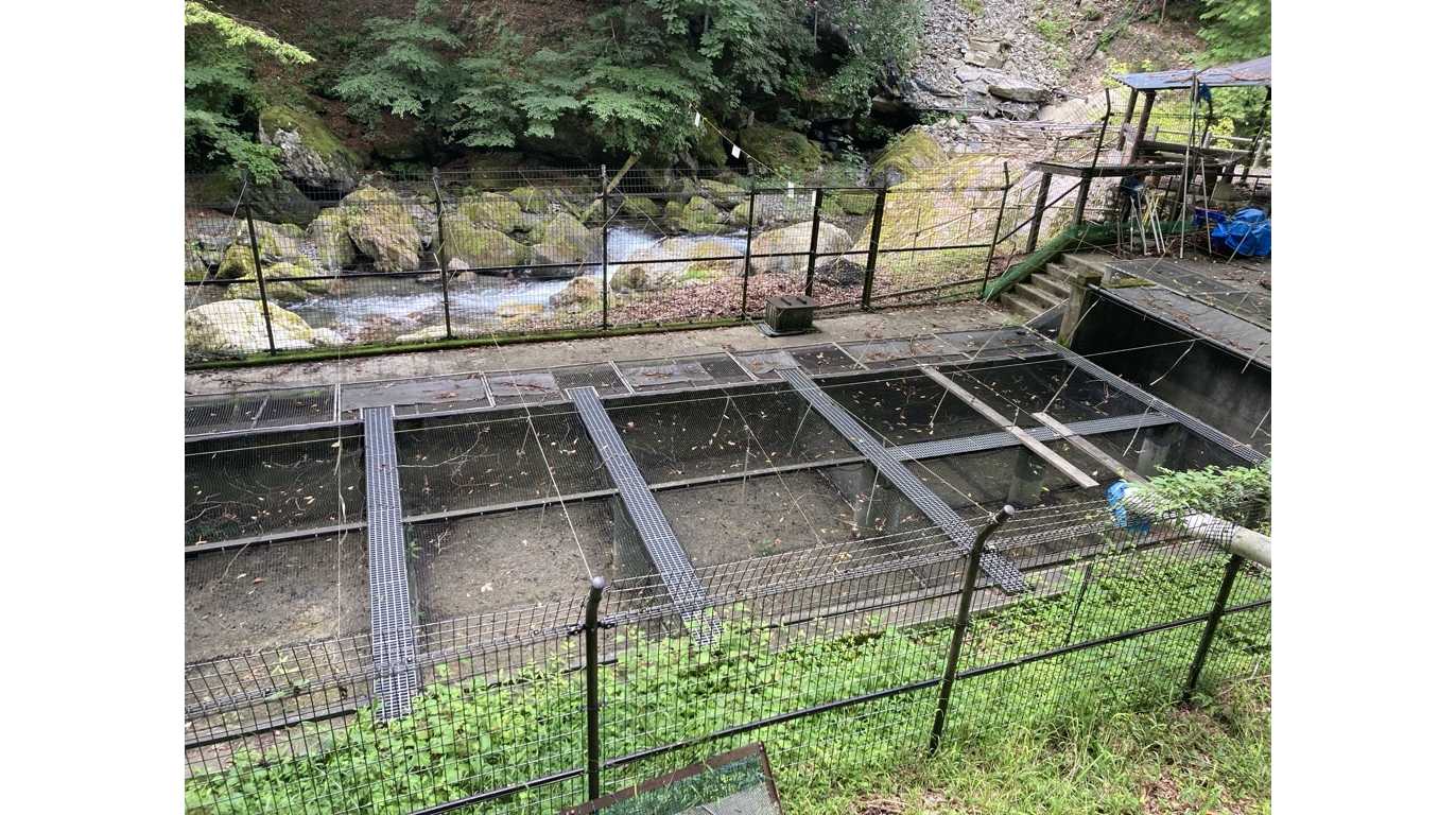 京王電鉄が奥多摩町「日原渓流釣場」の指定管理者に選定 ２０２７年４月の指定管理開始に向け、１０月１日に協定を締結！