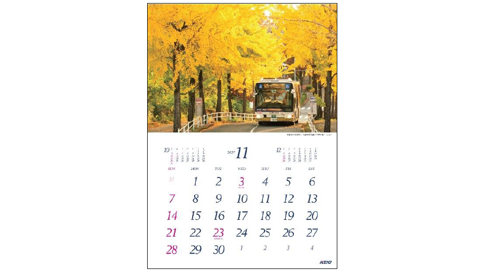 京王百草園で恒例の「紅葉まつり」を１１月７日（土）から開催します！