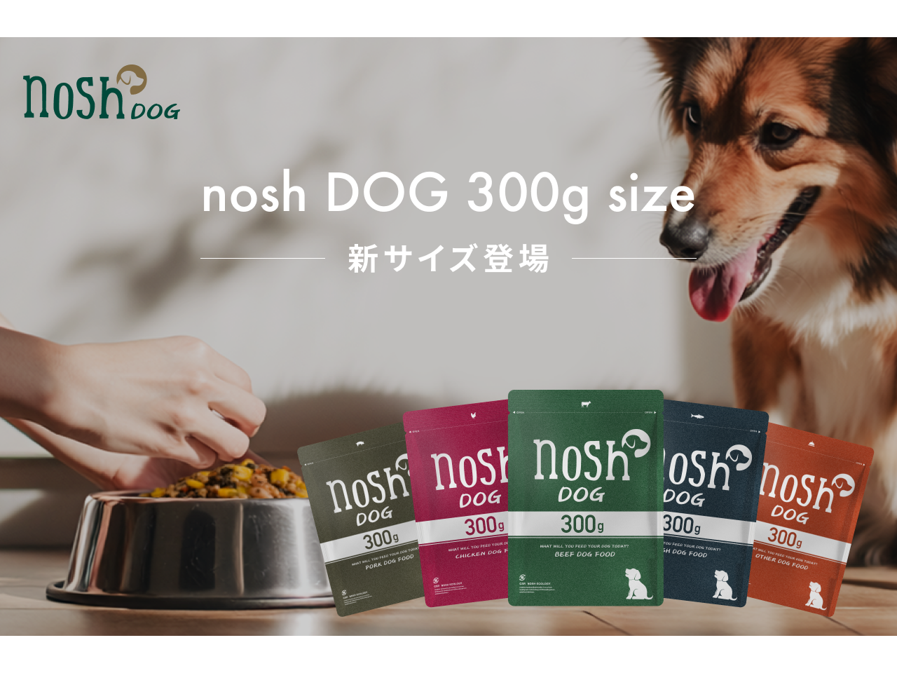 ナッシュ株式会社