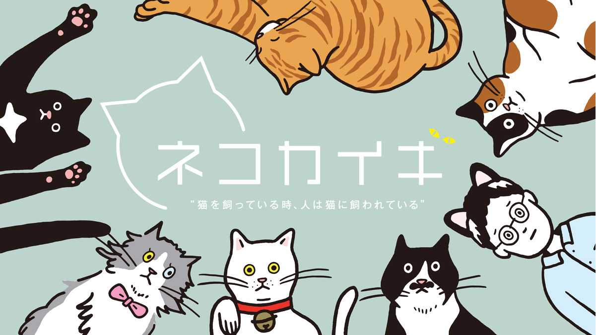 News_2511_cmi-fes2_4