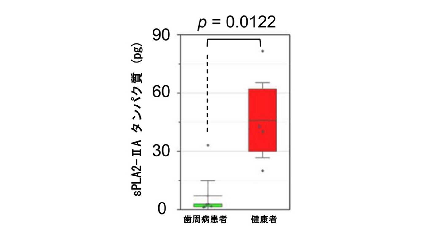 日本大学