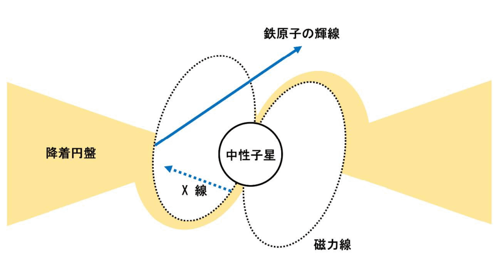 日本大学