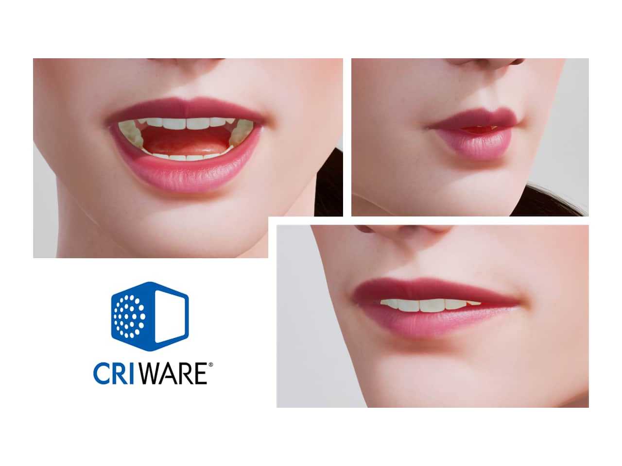 株式会社ＣＲＩ・ミドルウェア