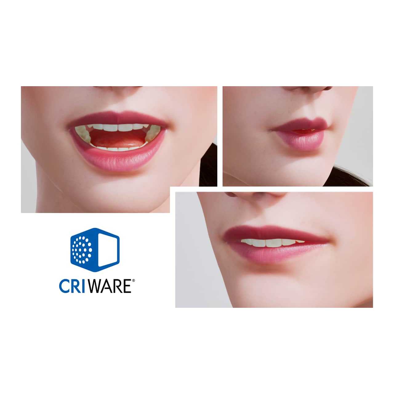 株式会社ＣＲＩ・ミドルウェア