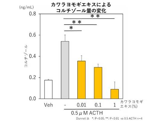 ちふれホールディングス株式会社