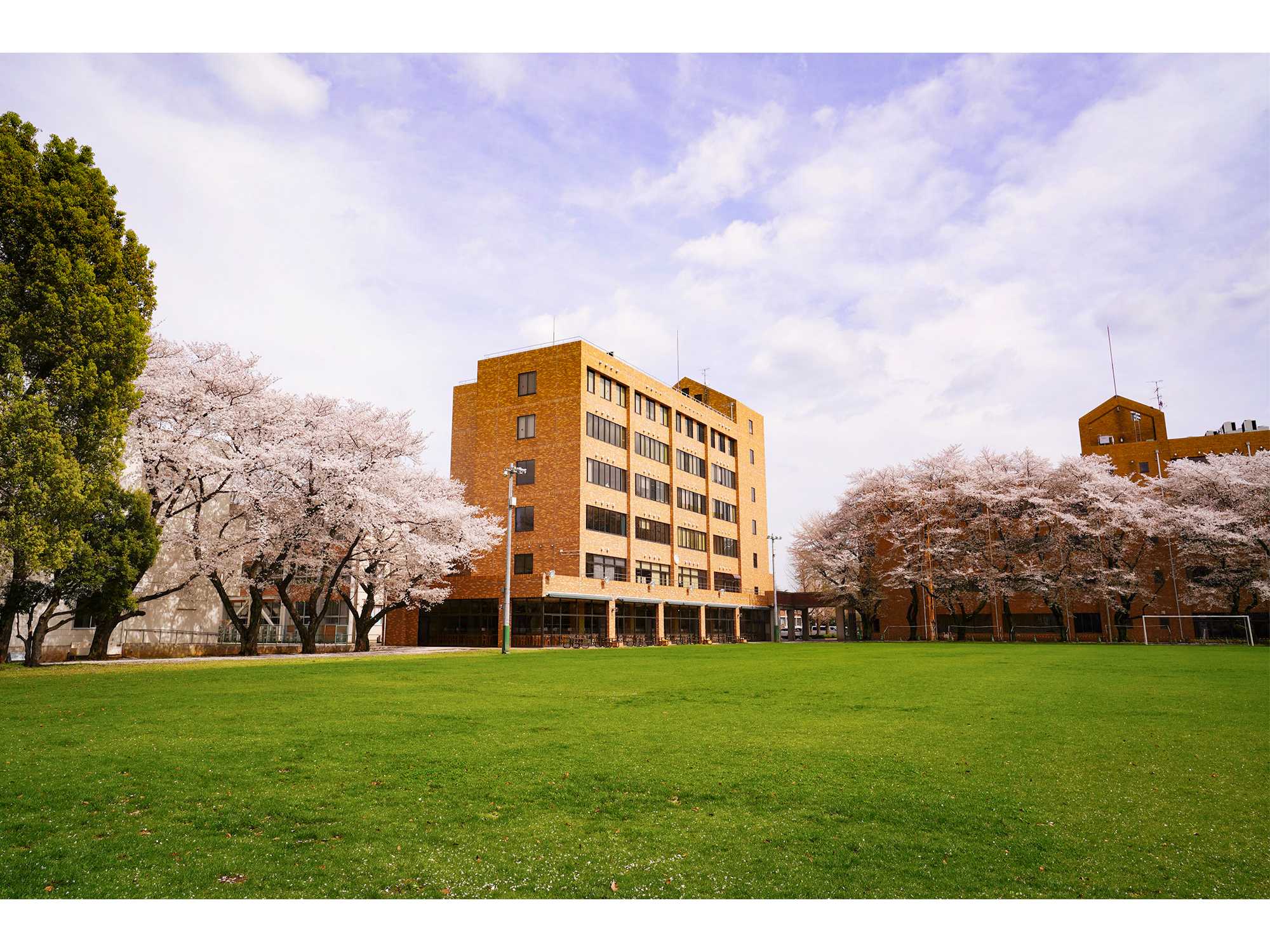 ちふれホールディングス株式会社