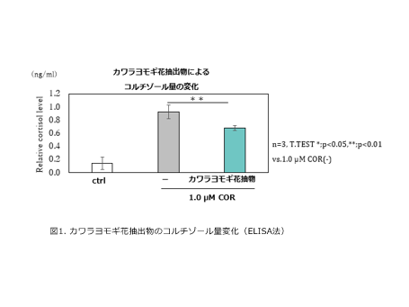 ちふれホールディングス株式会社