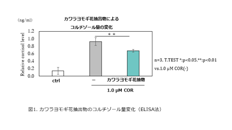 カワラヨモギ花抽出物がストレスによる真皮機能の低下を抑制 コルチゾール不活化を通じた肌のハリ・弾性回復への可能性を確認 「日本生薬学会第72回年会」にて、研究成果をポスター発表