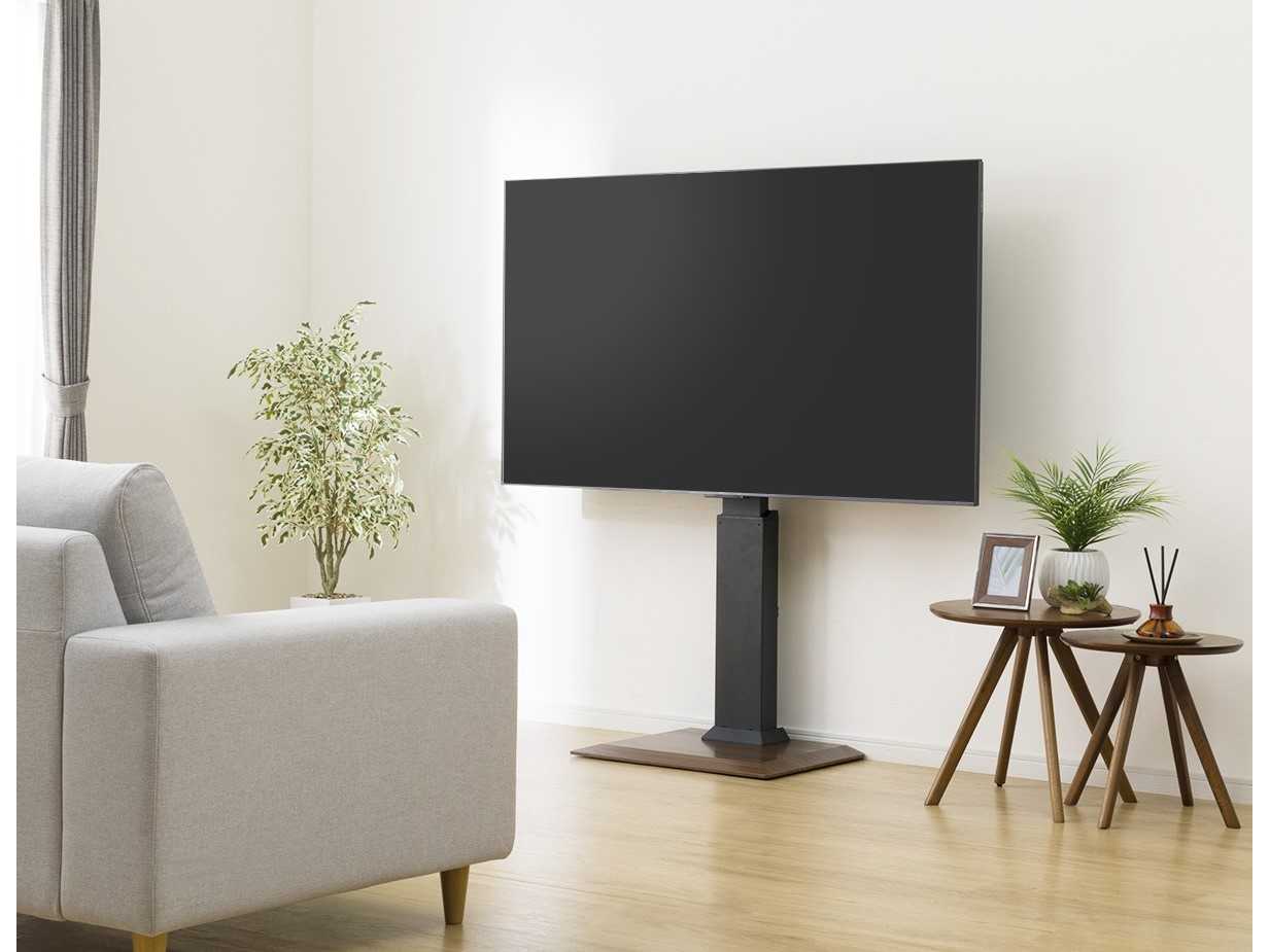 株式会社エディオン