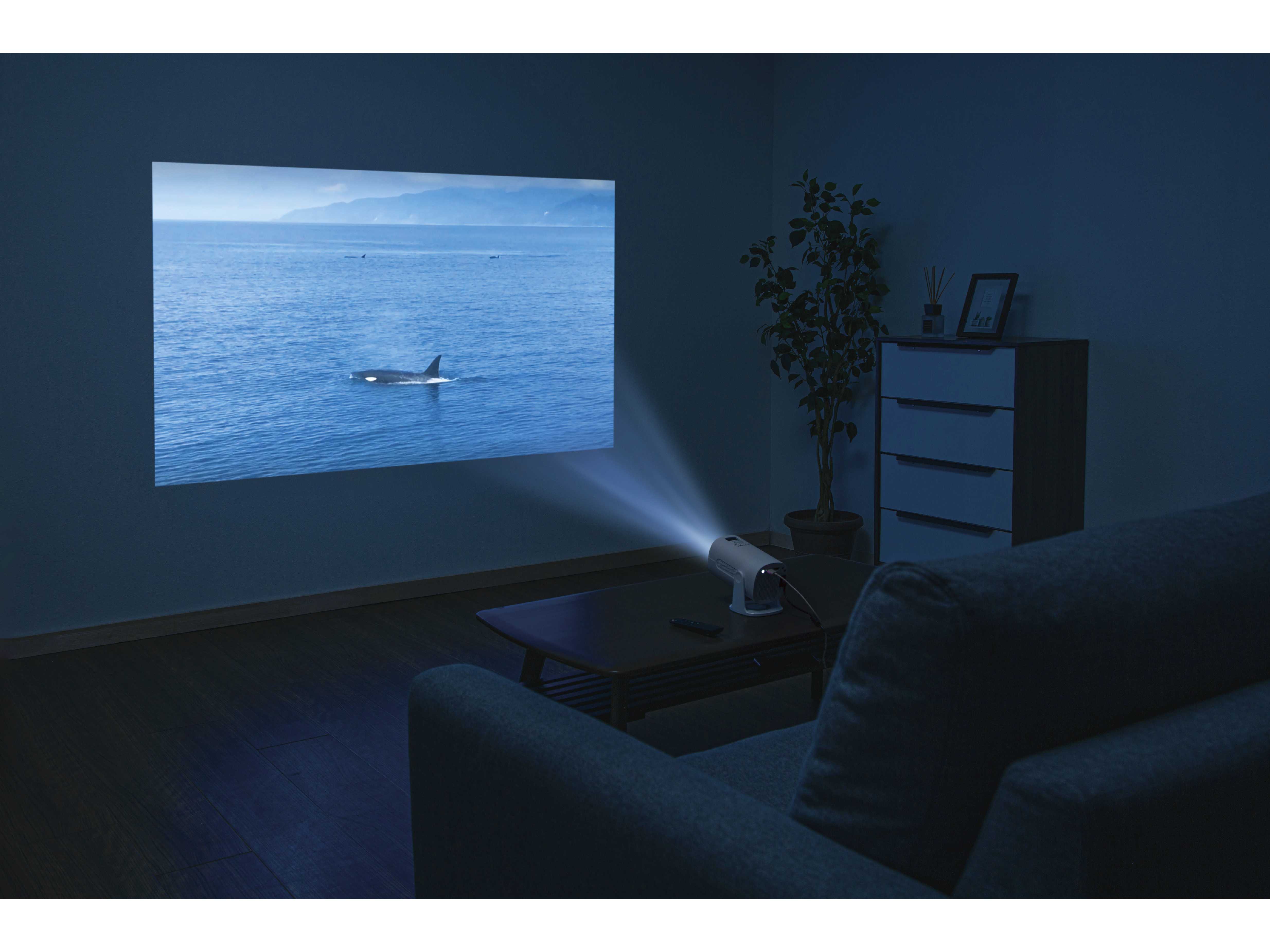 株式会社エディオン