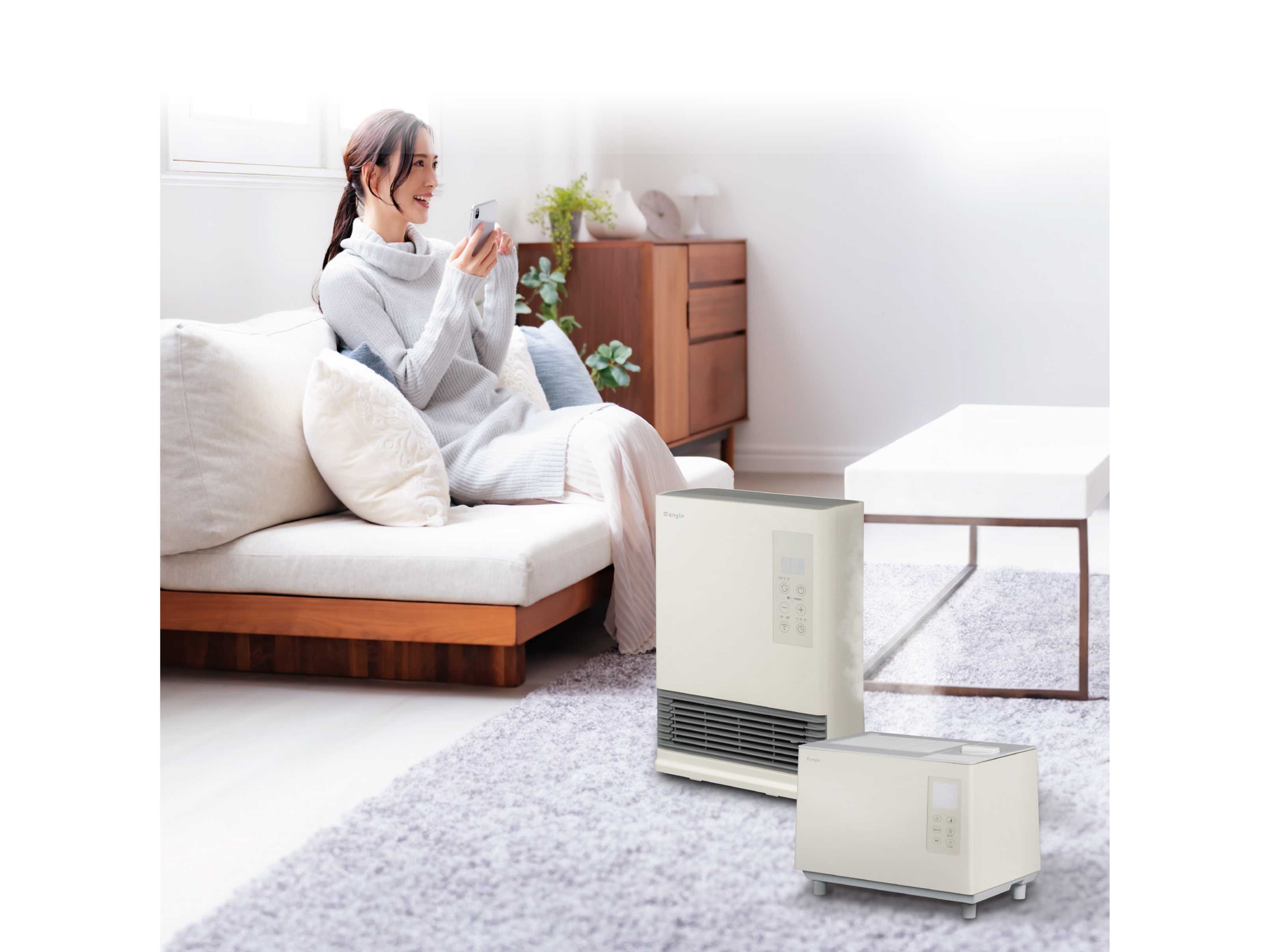 株式会社エディオン