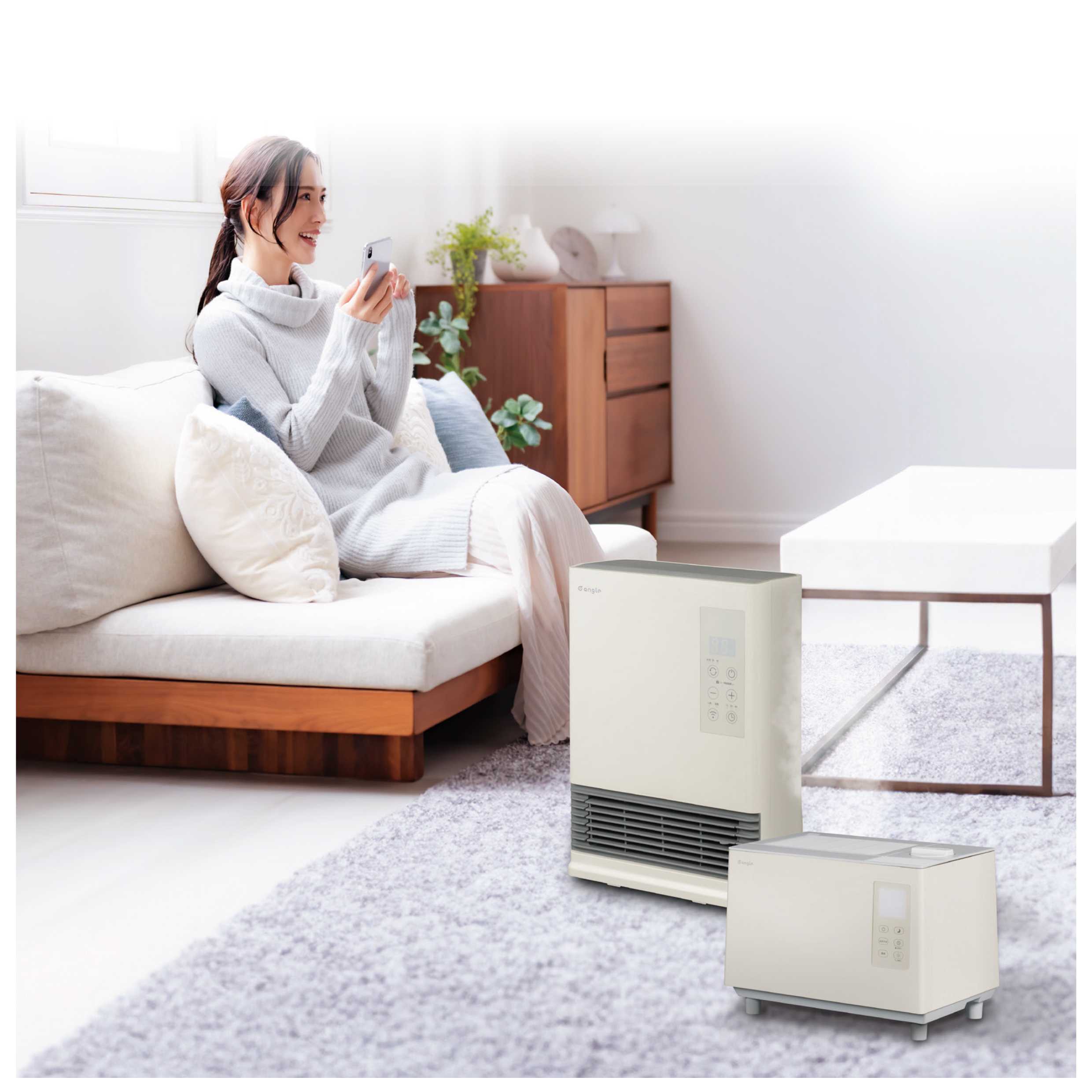 株式会社エディオン