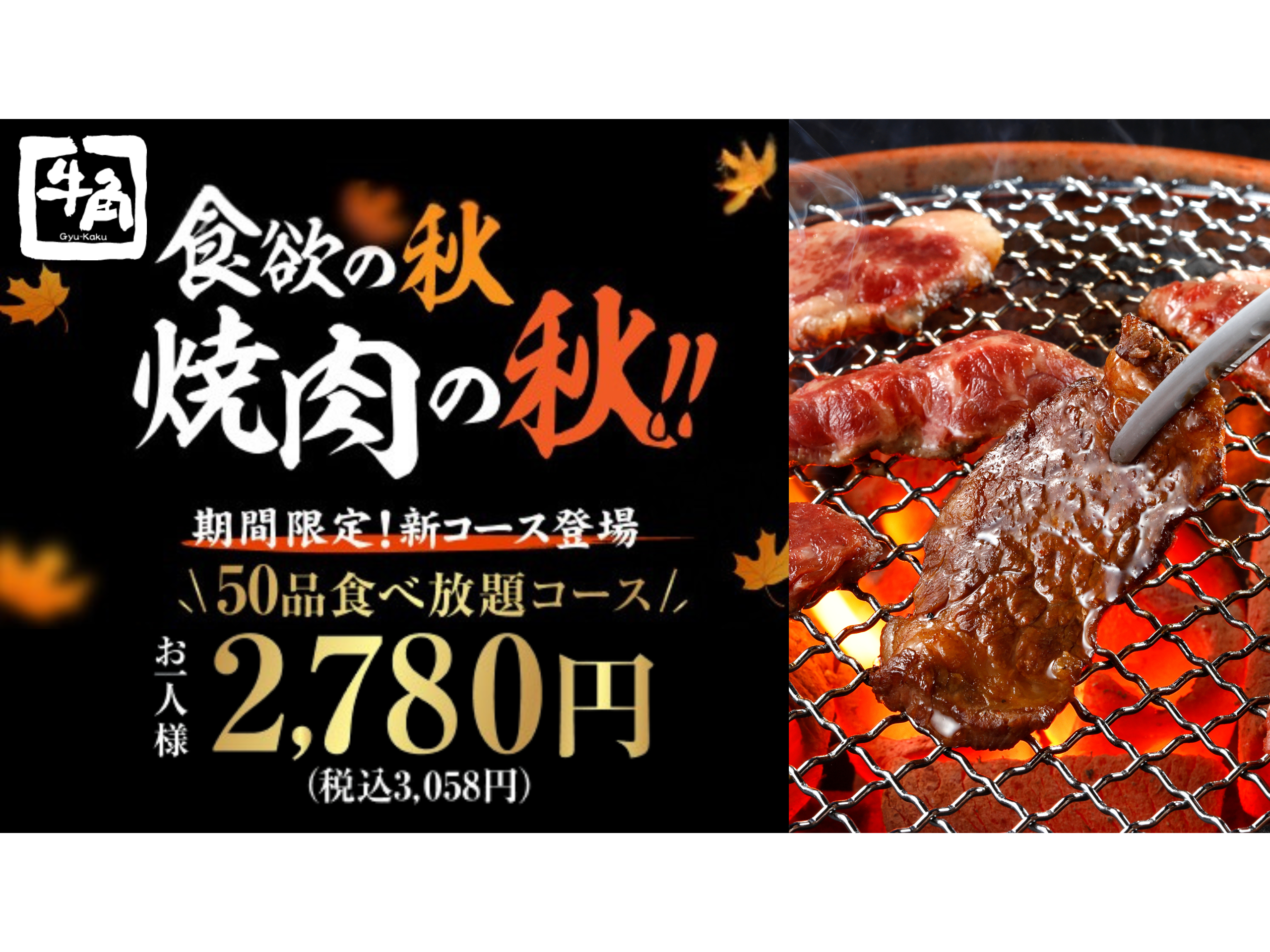 株式会社レインズインターナショナル