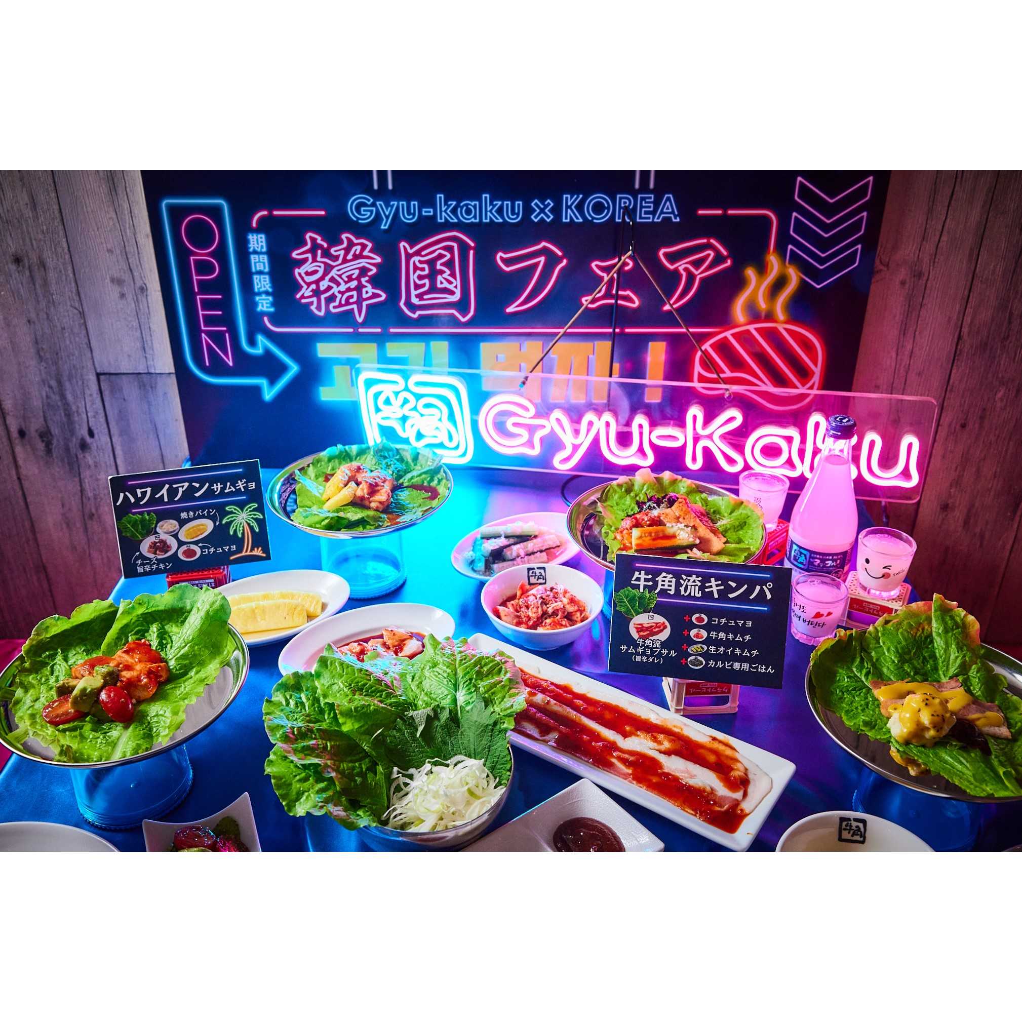 株式会社レインズインターナショナル