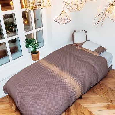 グリーン車柄セット