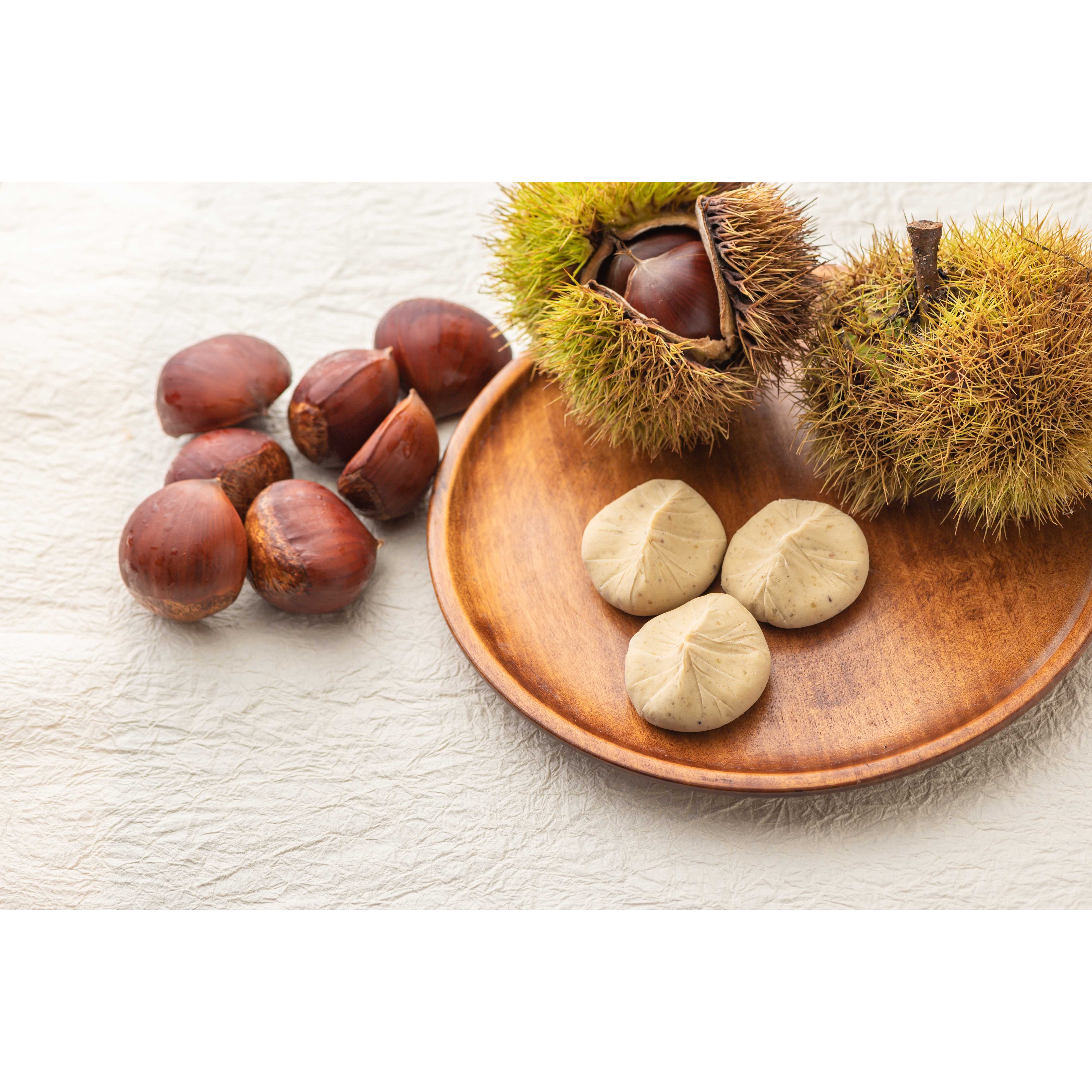 日本ガイシ株式会社