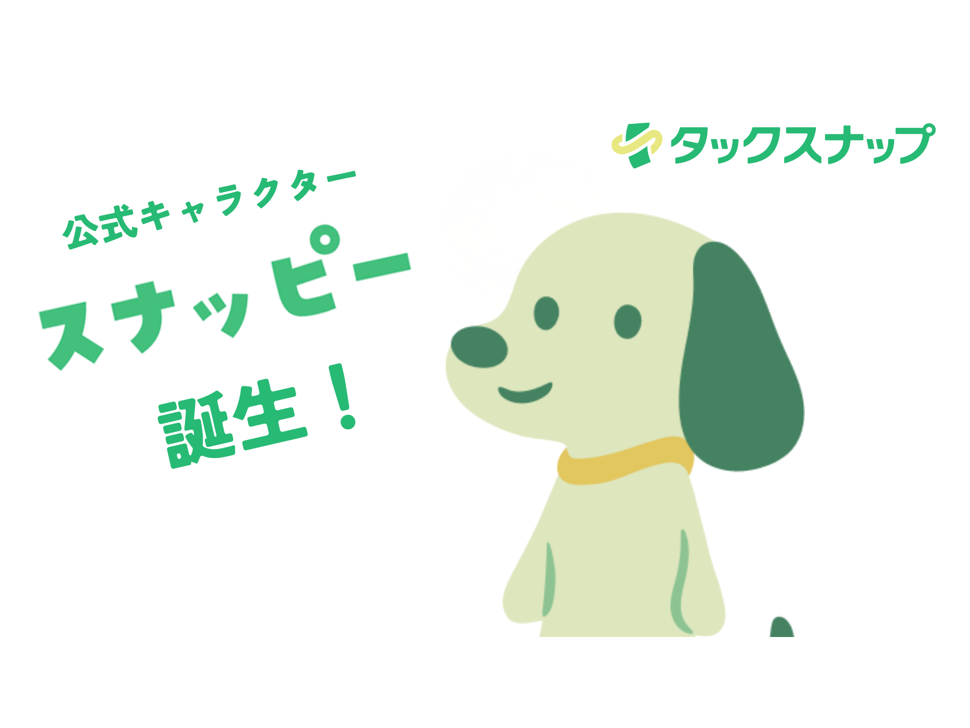 株式会社タックスナップ