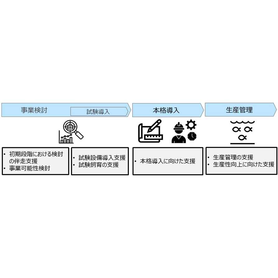 リリース