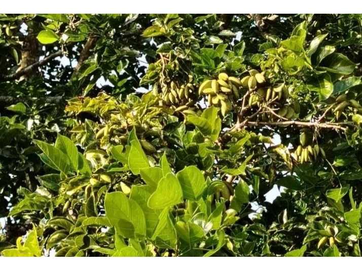 阪和興業株式会社