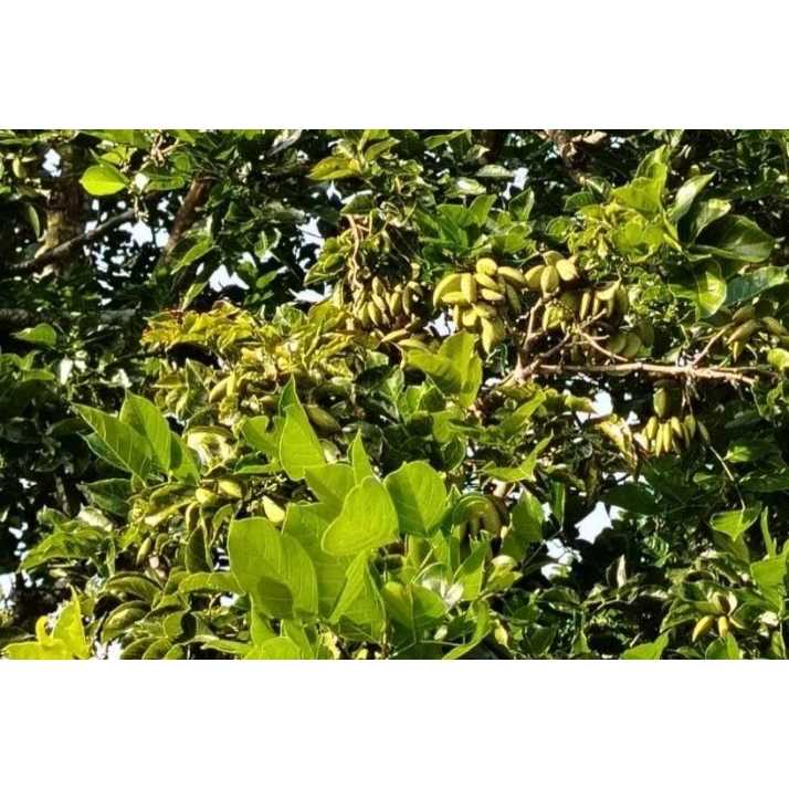 阪和興業株式会社