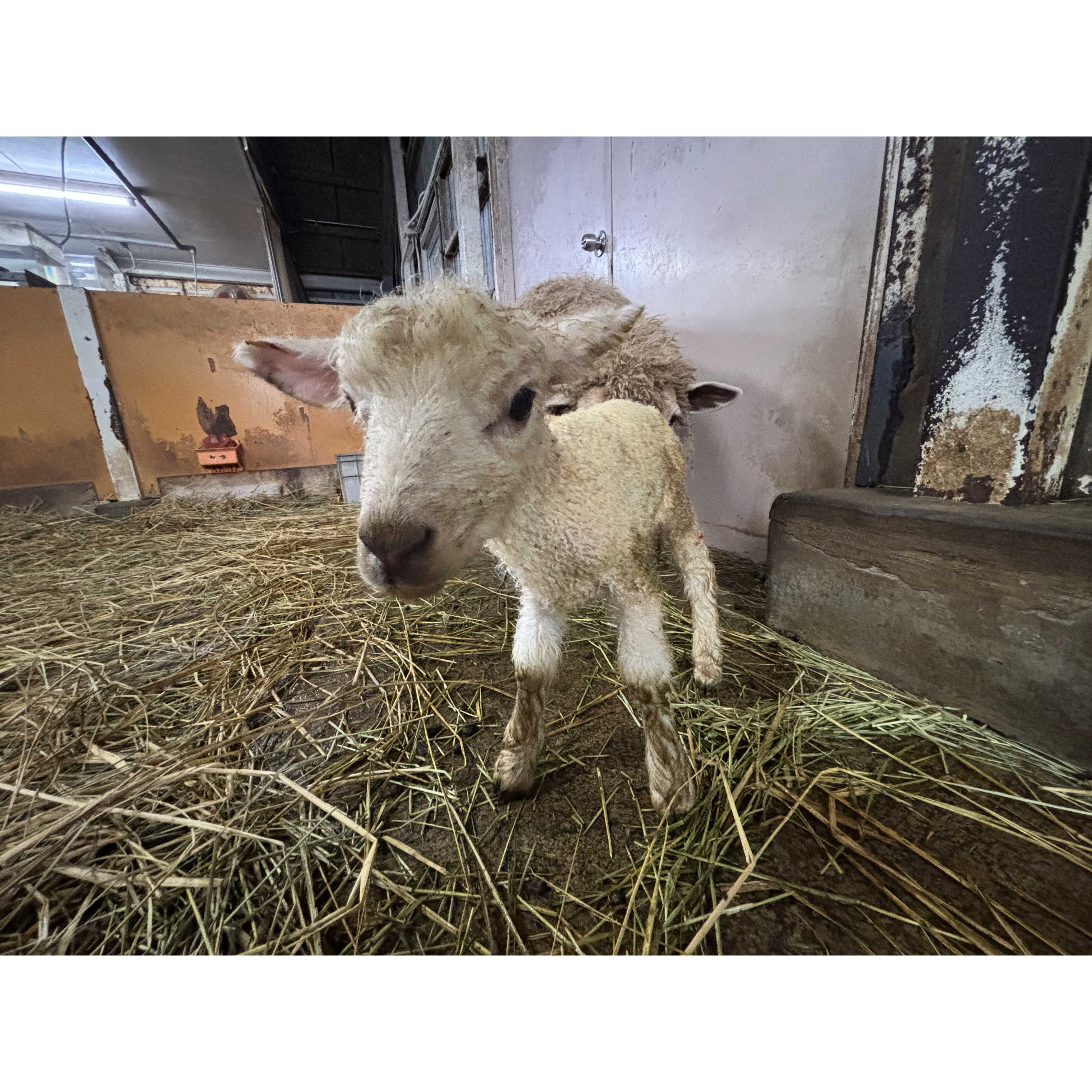 東武レジャー企画株式会社（東武動物公園）