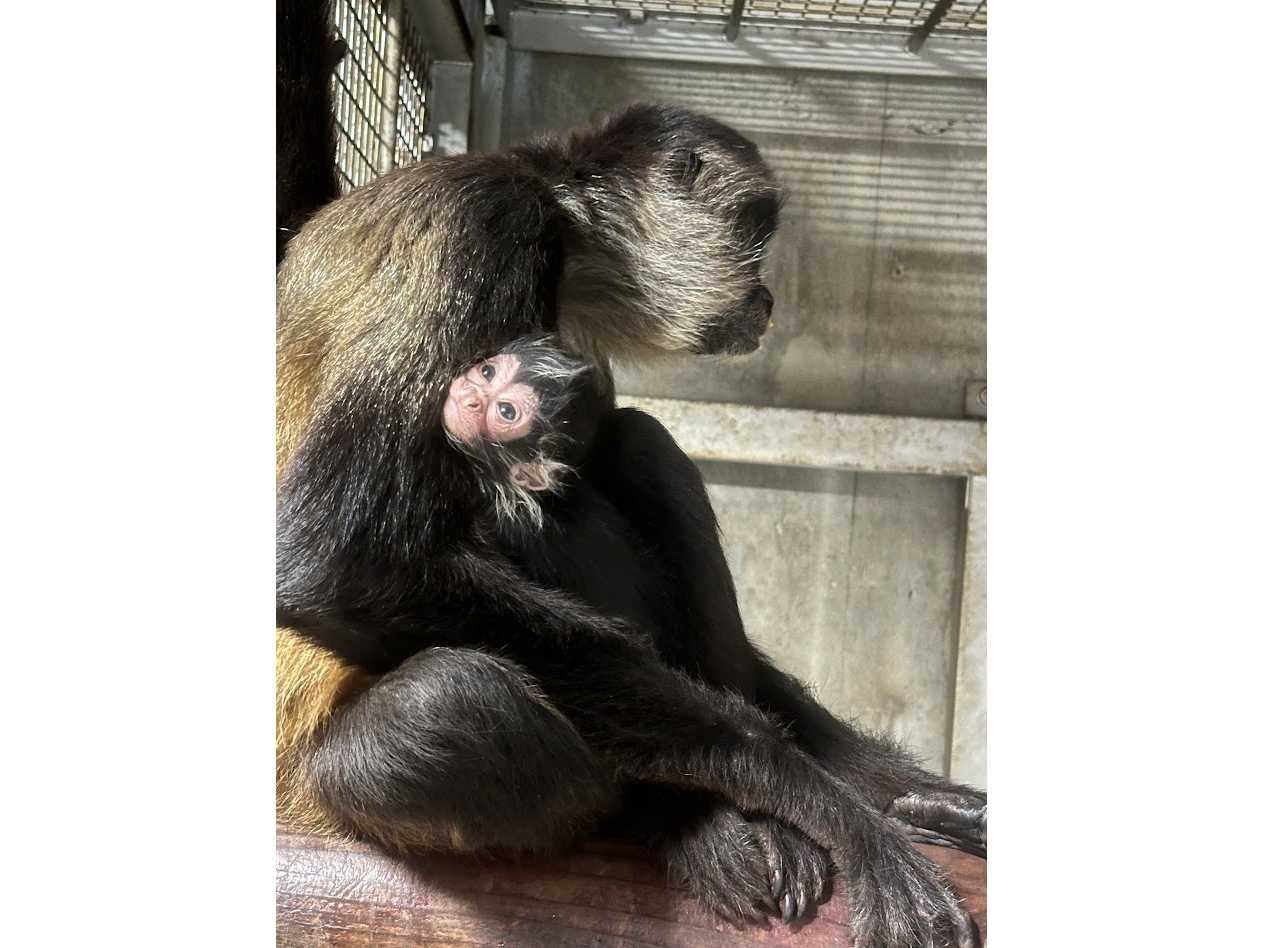 東武レジャー企画株式会社（東武動物公園）