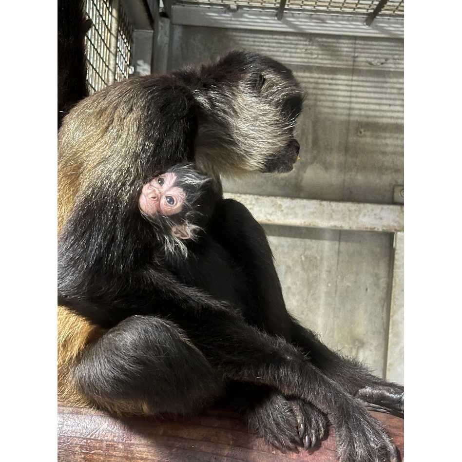 東武レジャー企画株式会社（東武動物公園）