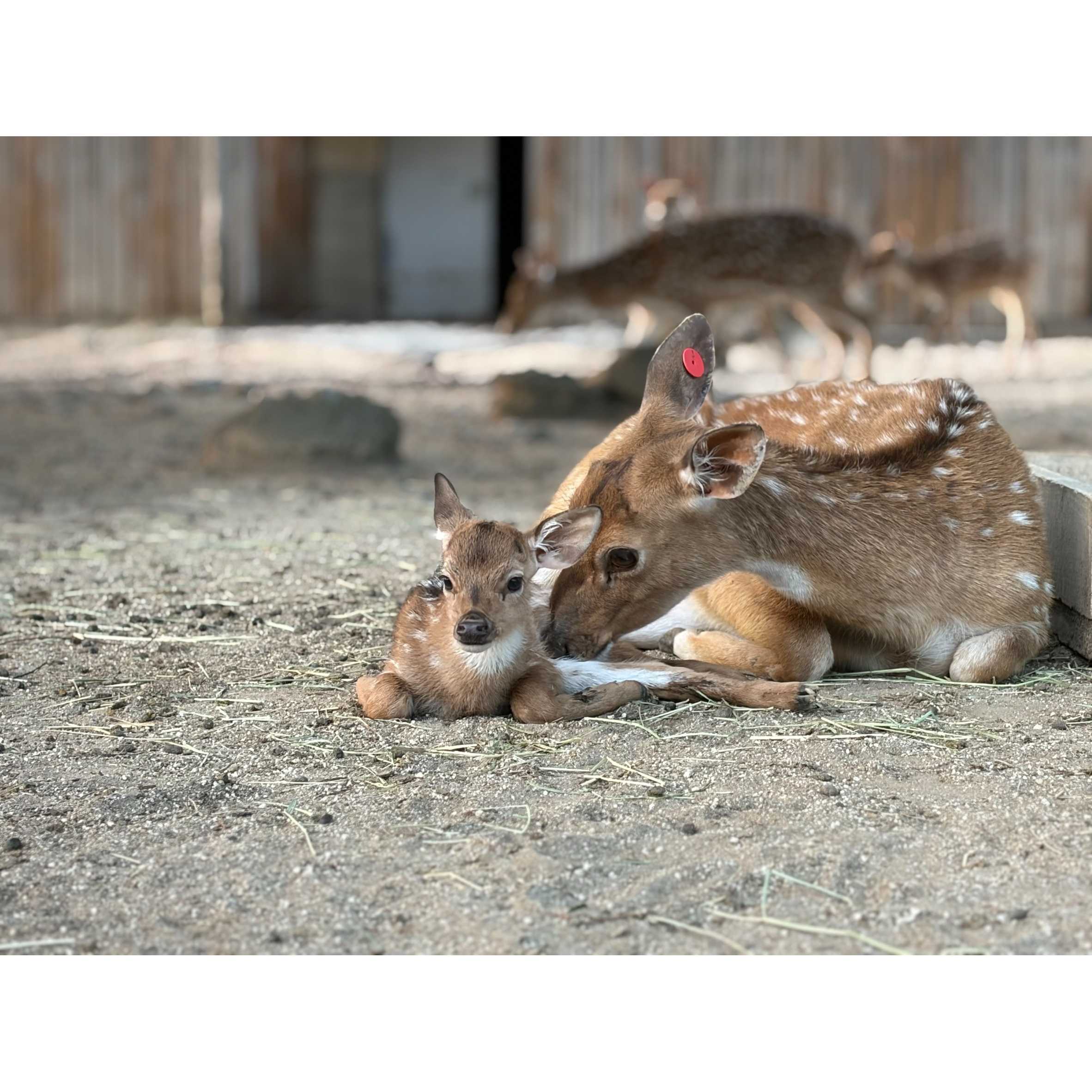 東武レジャー企画株式会社（東武動物公園）