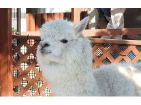 東武レジャー企画株式会社（東武動物公園）