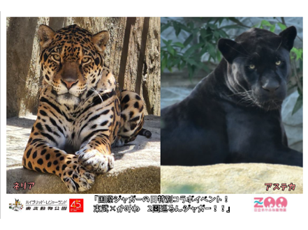 東武レジャー企画株式会社（東武動物公園）