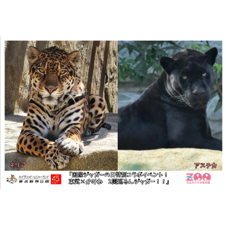 東武レジャー企画株式会社（東武動物公園）