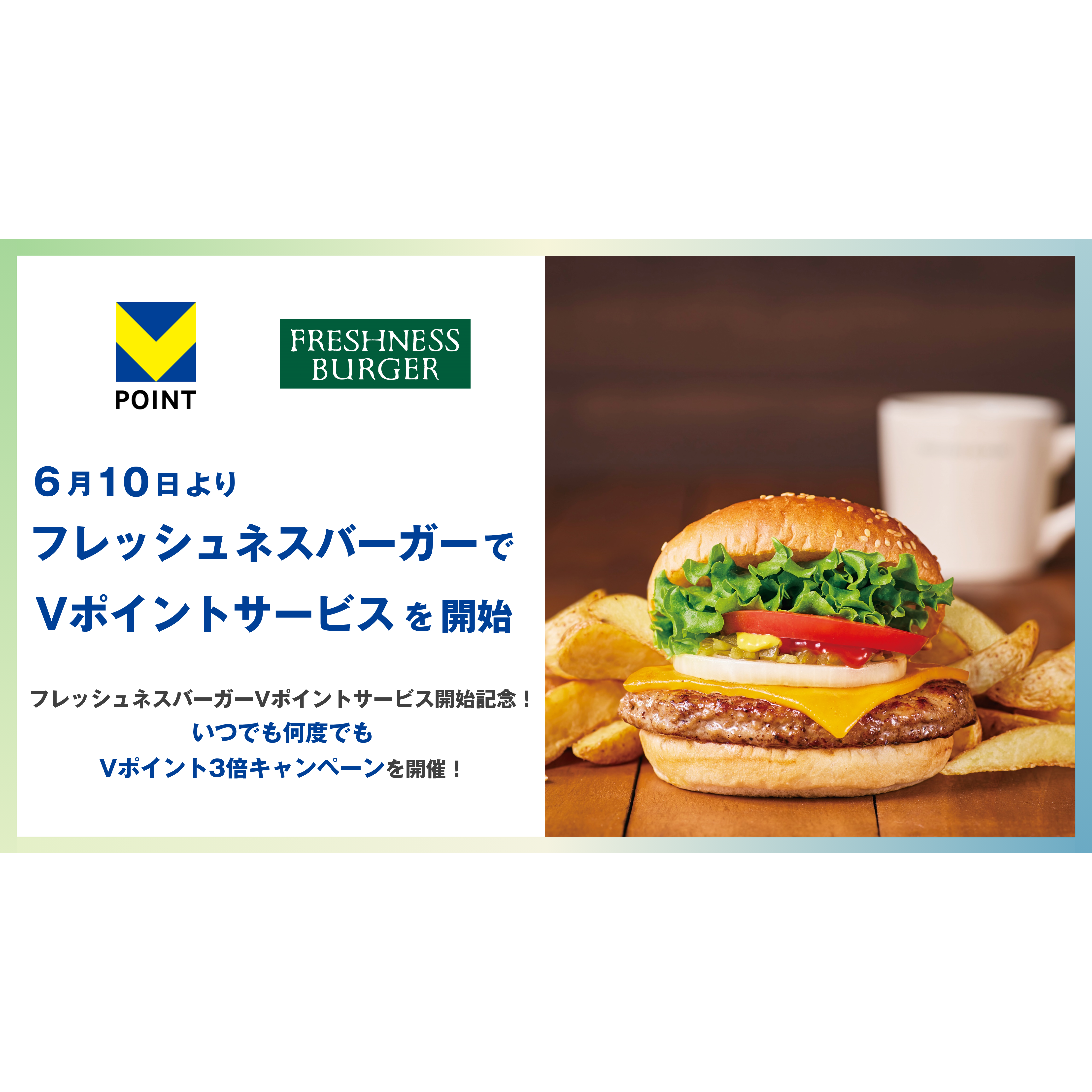 株式会社フレッシュネス