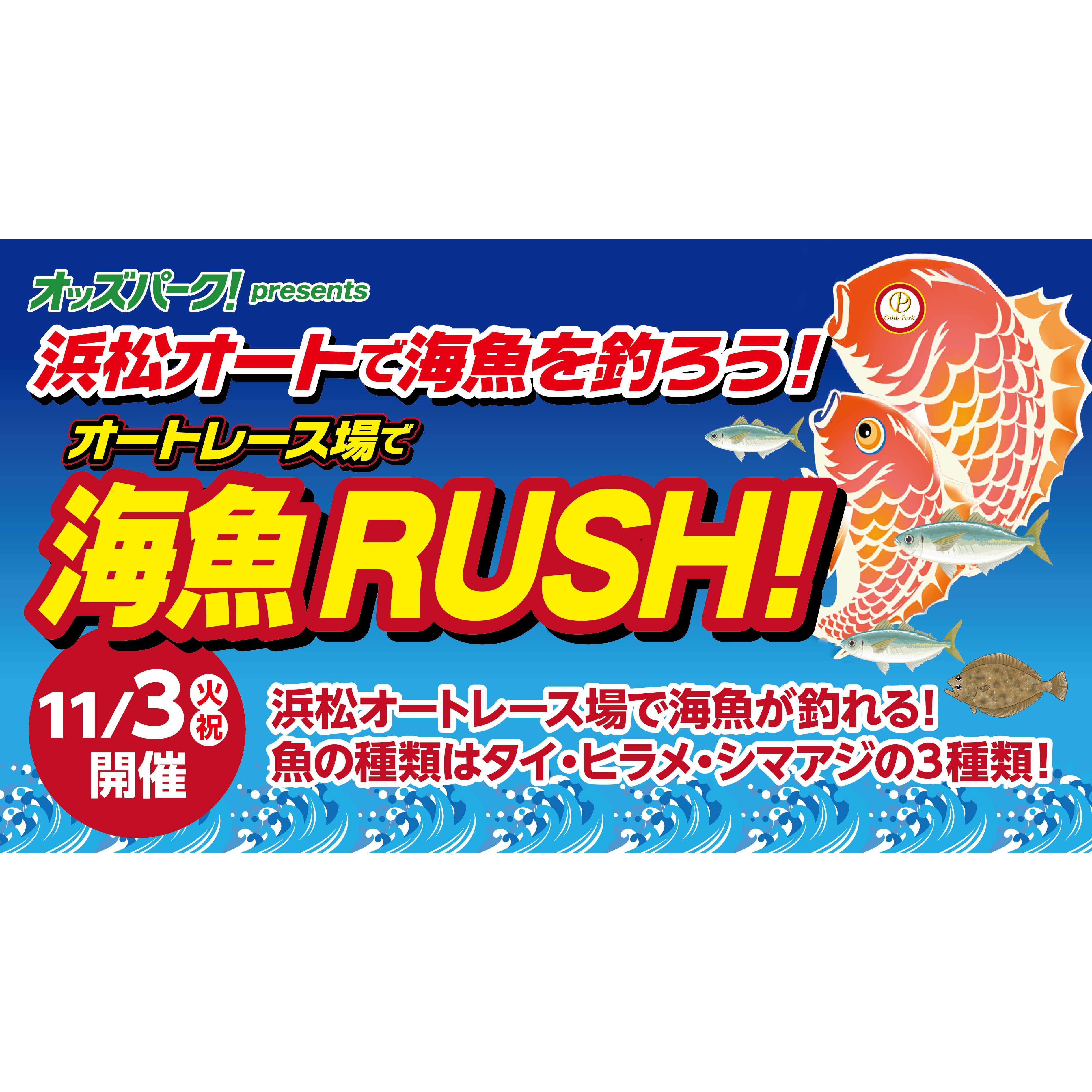 オッズ・パーク株式会社
