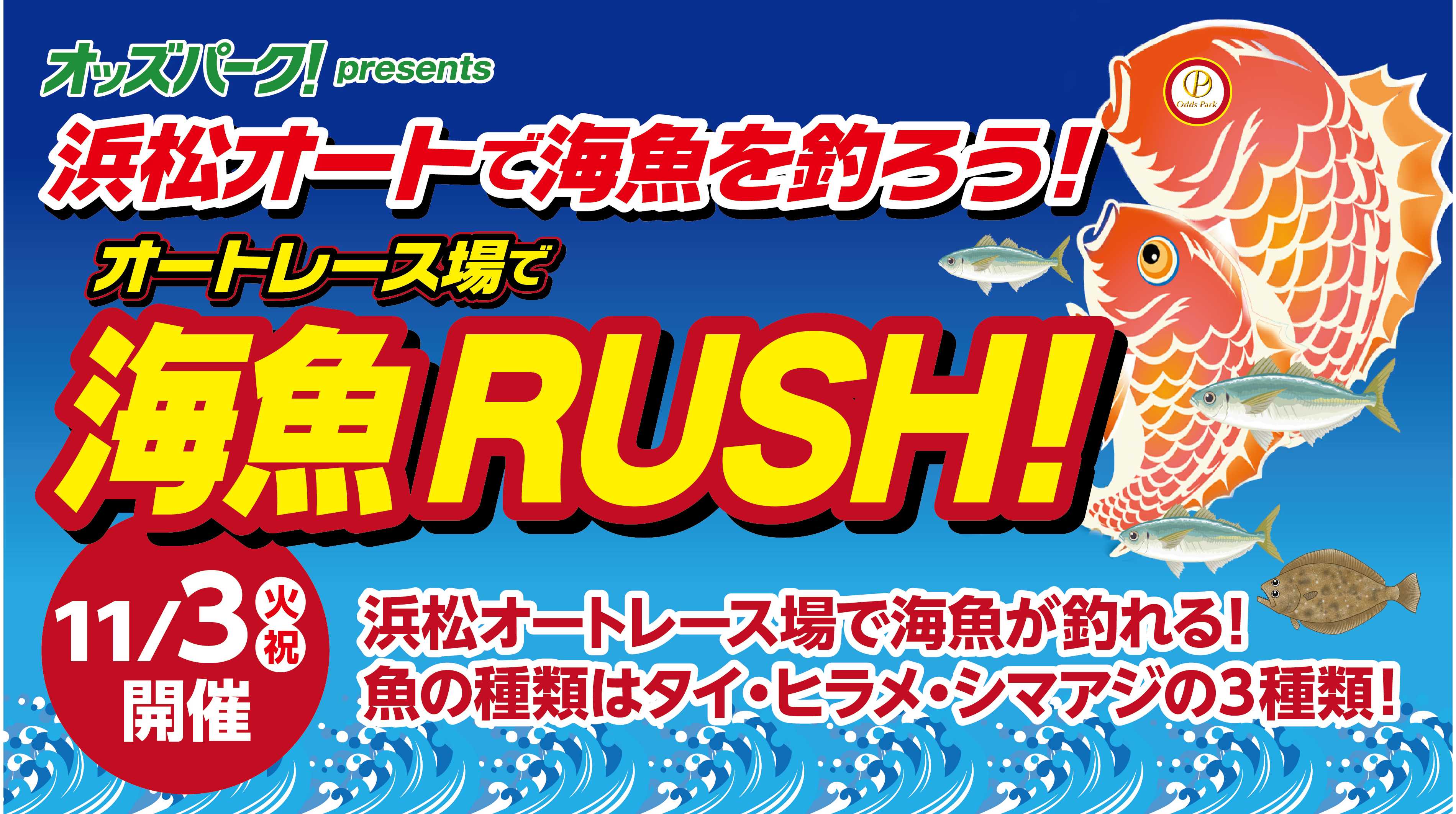 【都庁で初開催】話題のニュースポーツ「ピックルボール」を公認コーチが直接指導。東京都主催の体験イベントをアーシャルデザインが企画・運営