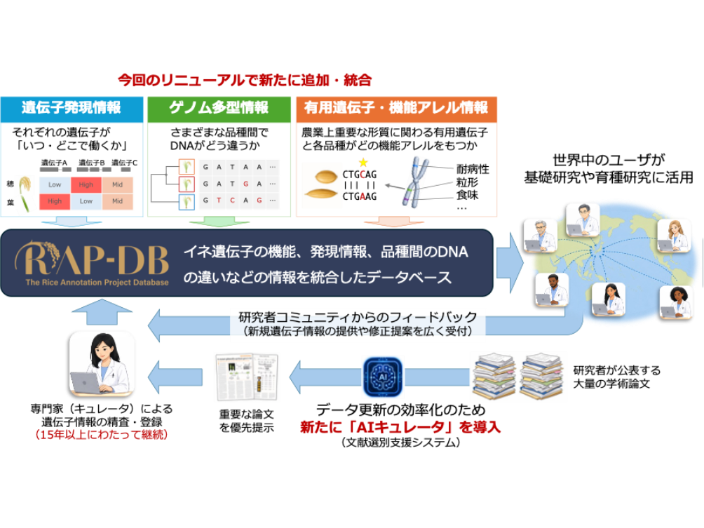 国立研究開発法人農業・食品産業技術総合研究機構