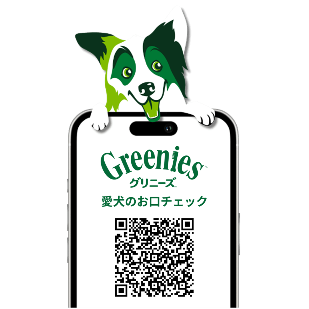 マースジャパンリミテッド