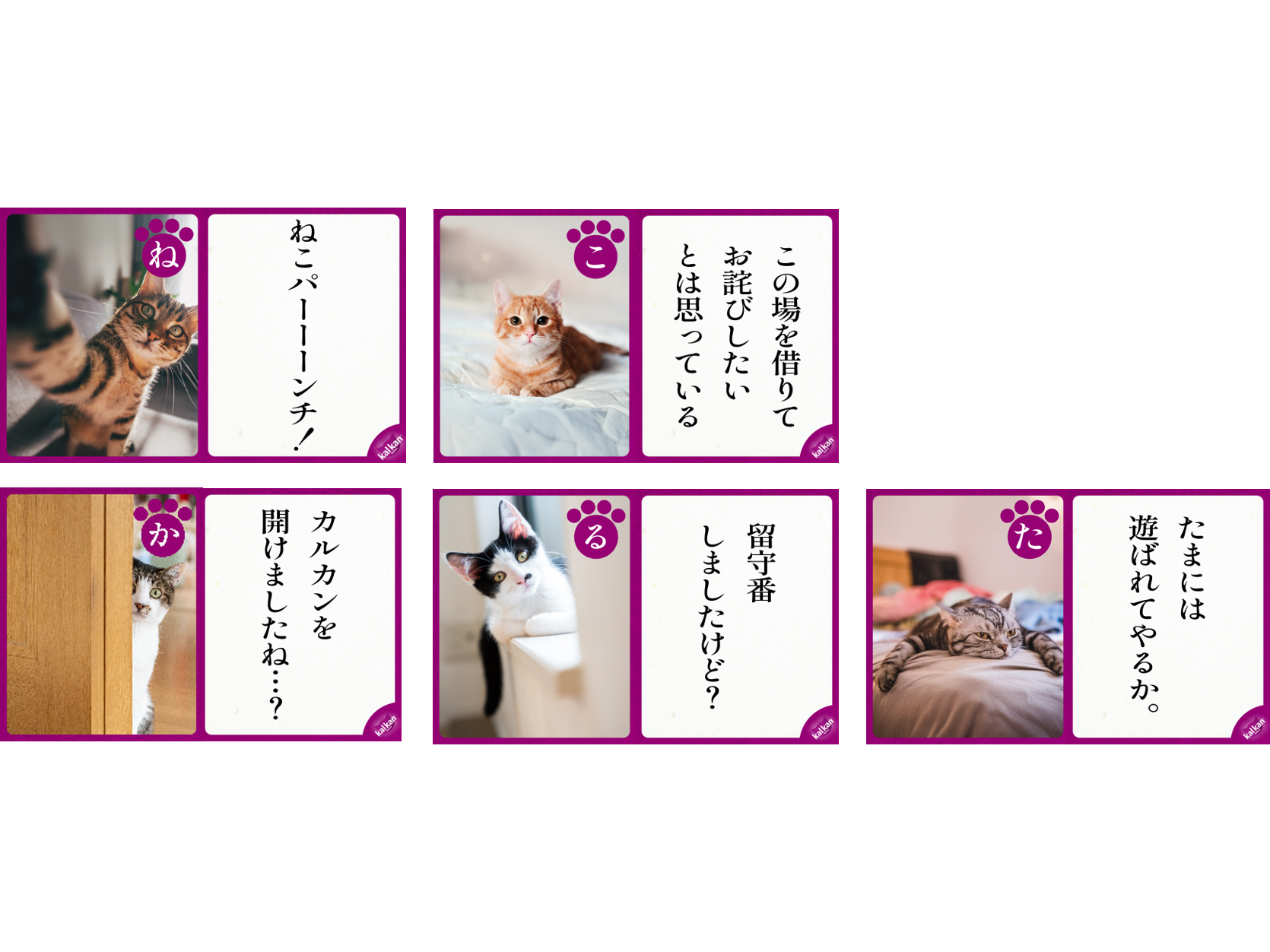 マースジャパンリミテッド
