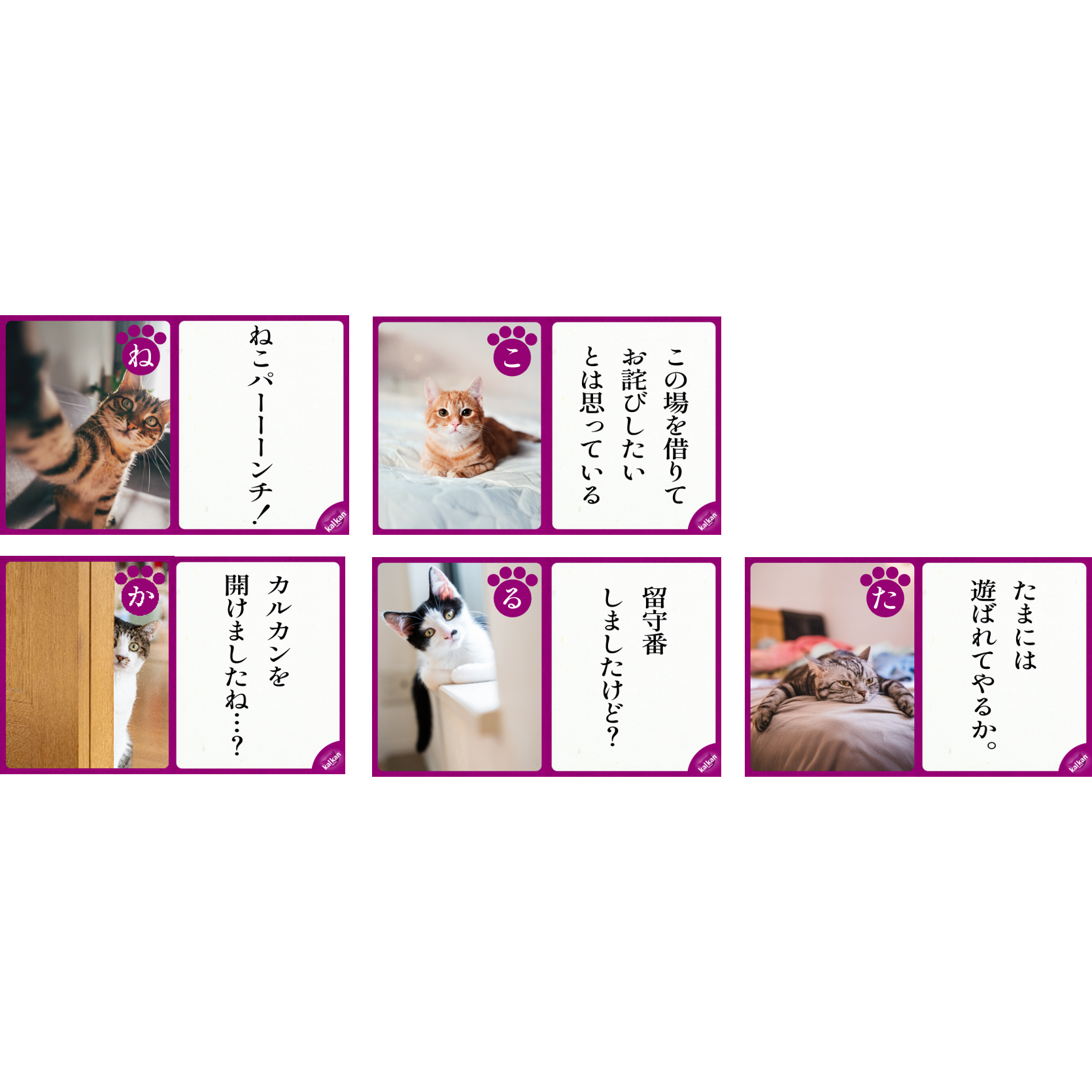 マースジャパンリミテッド