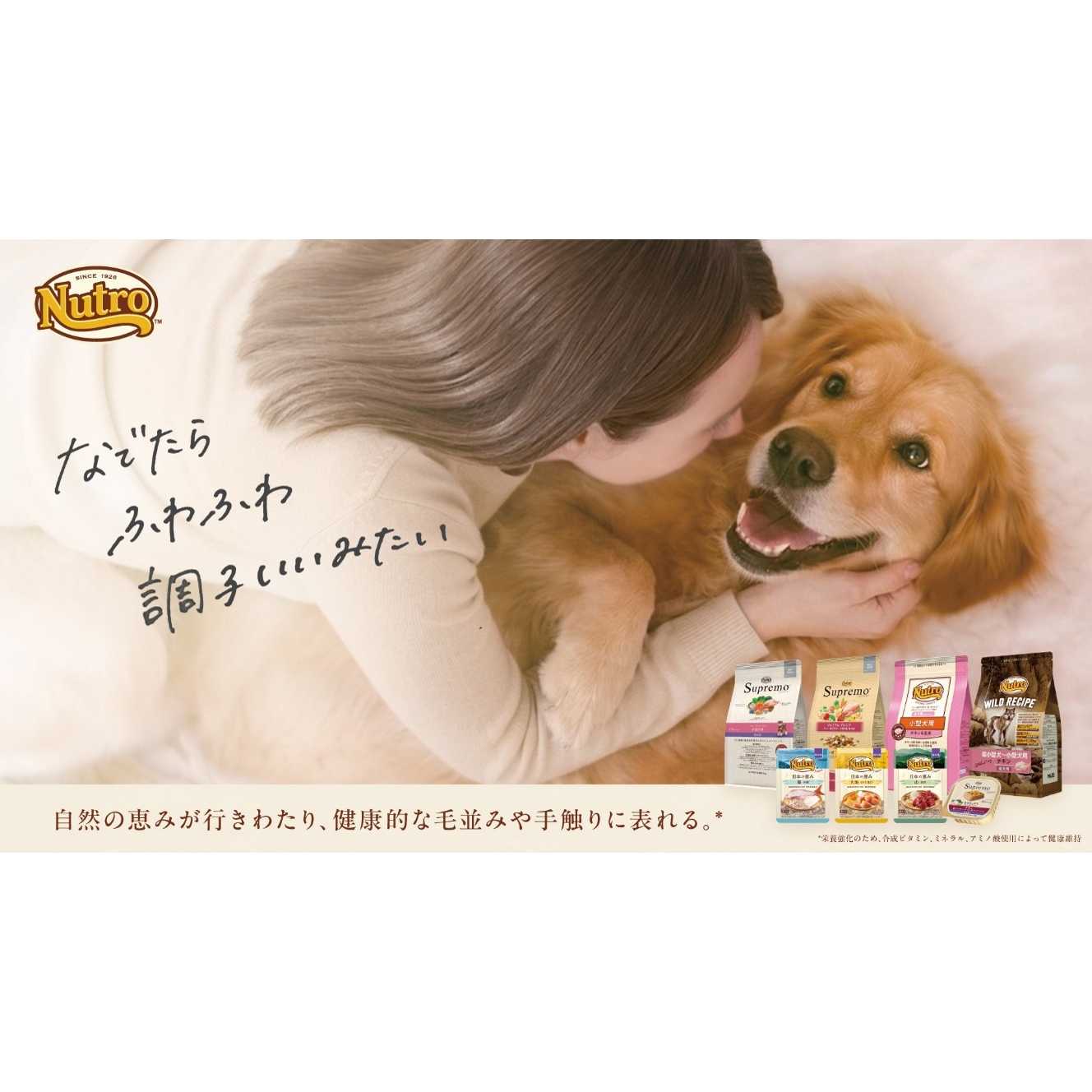 マースジャパンリミテッド
