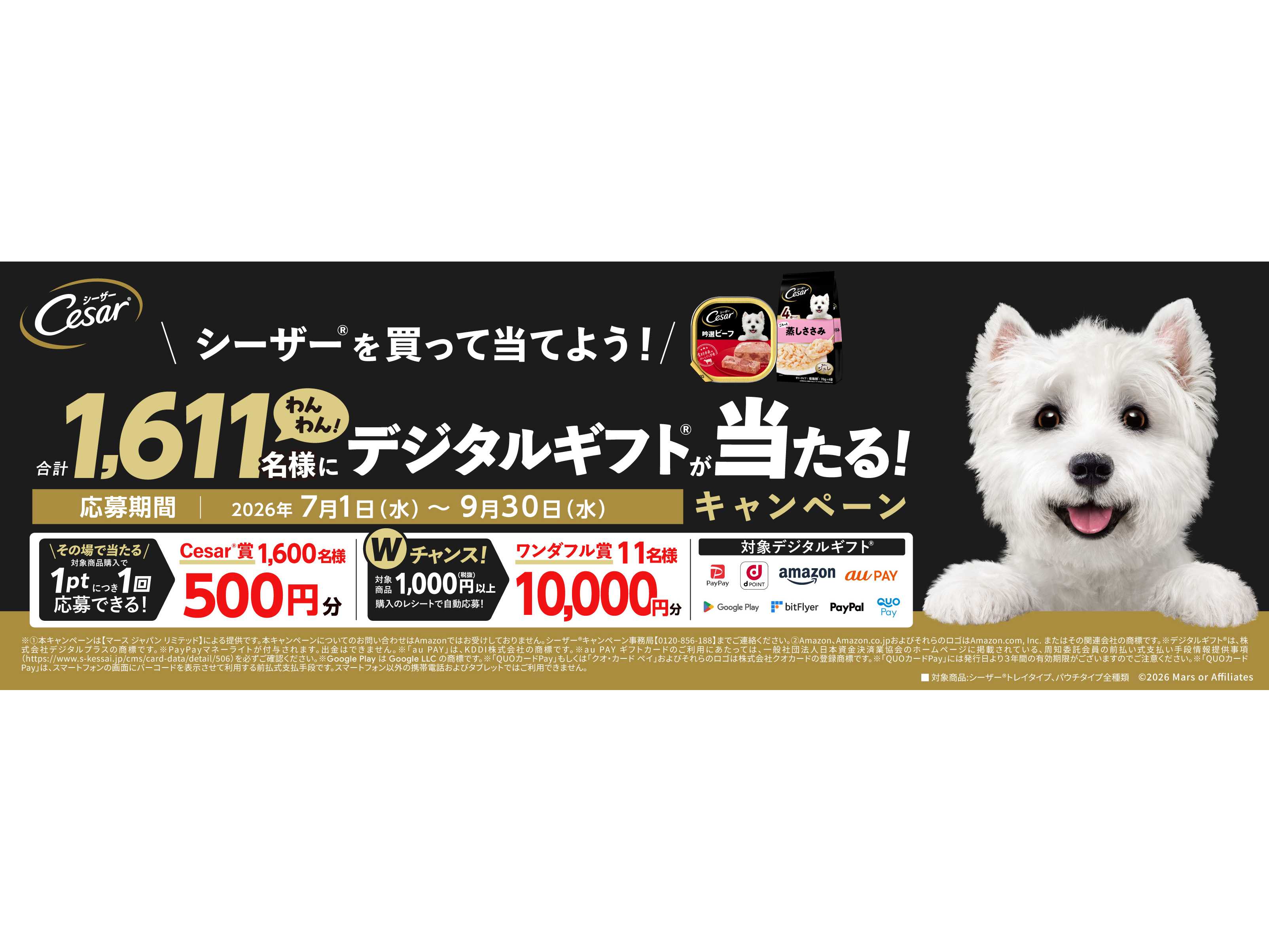 マースジャパンリミテッド