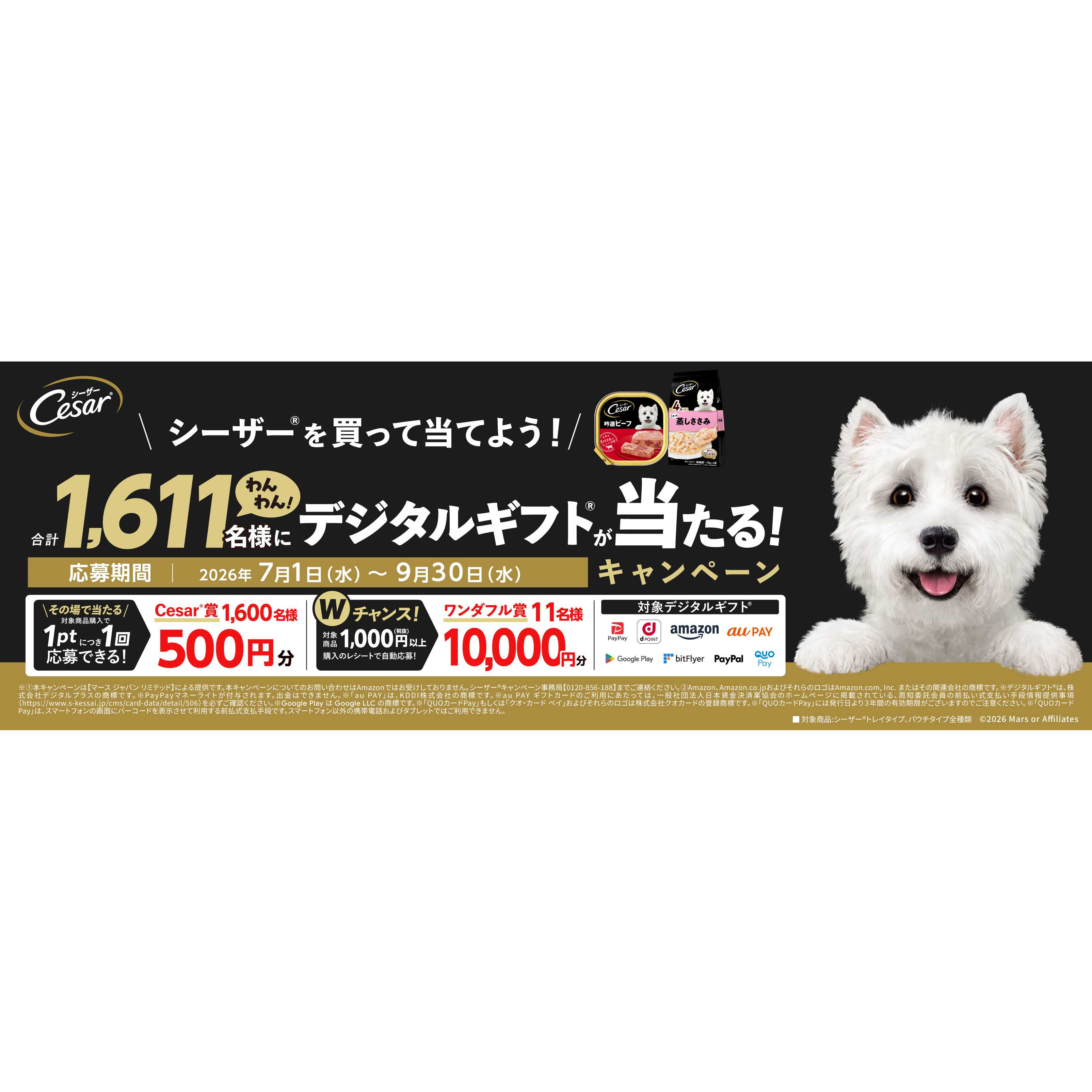 リリース