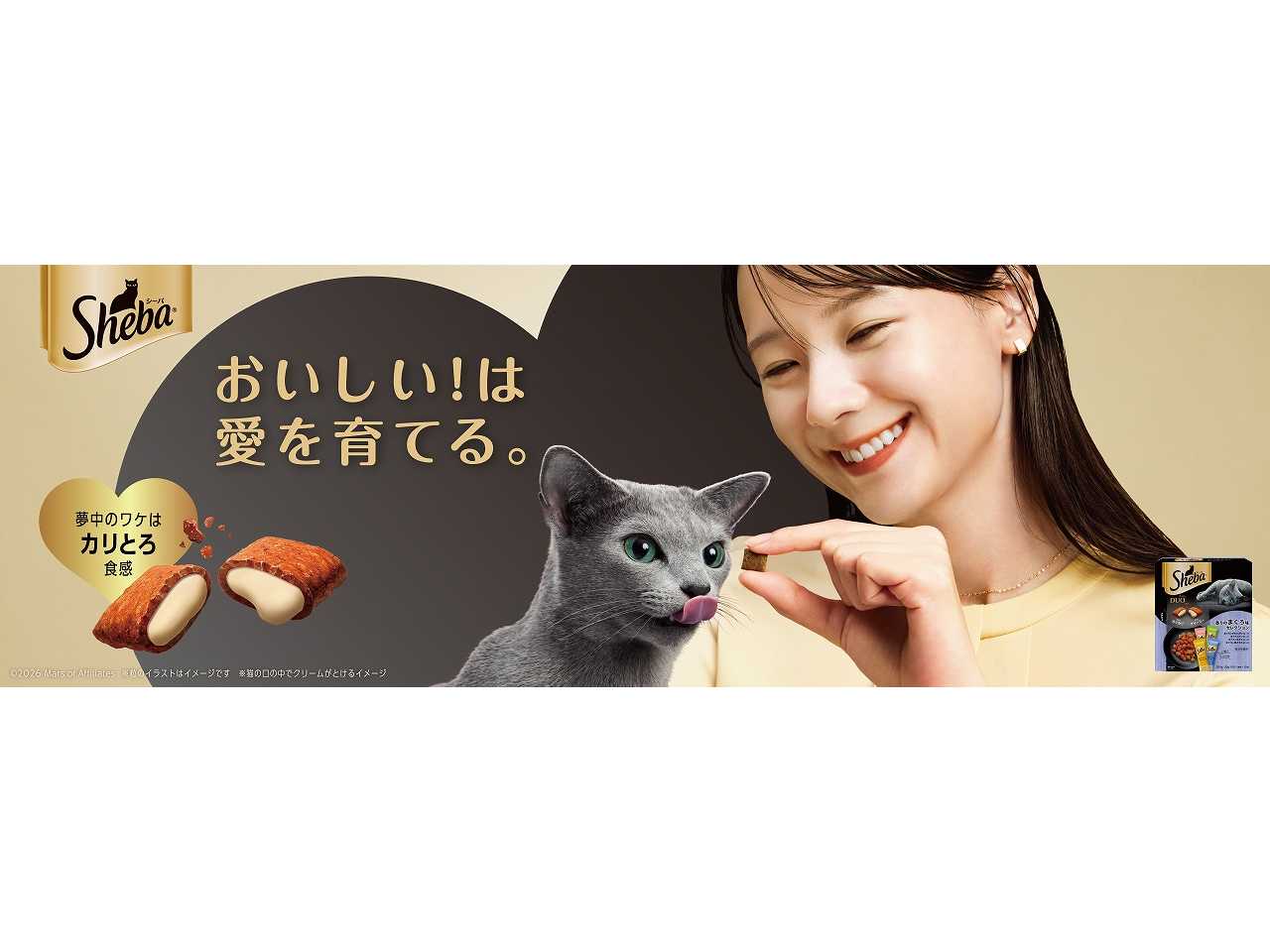 マースジャパンリミテッド