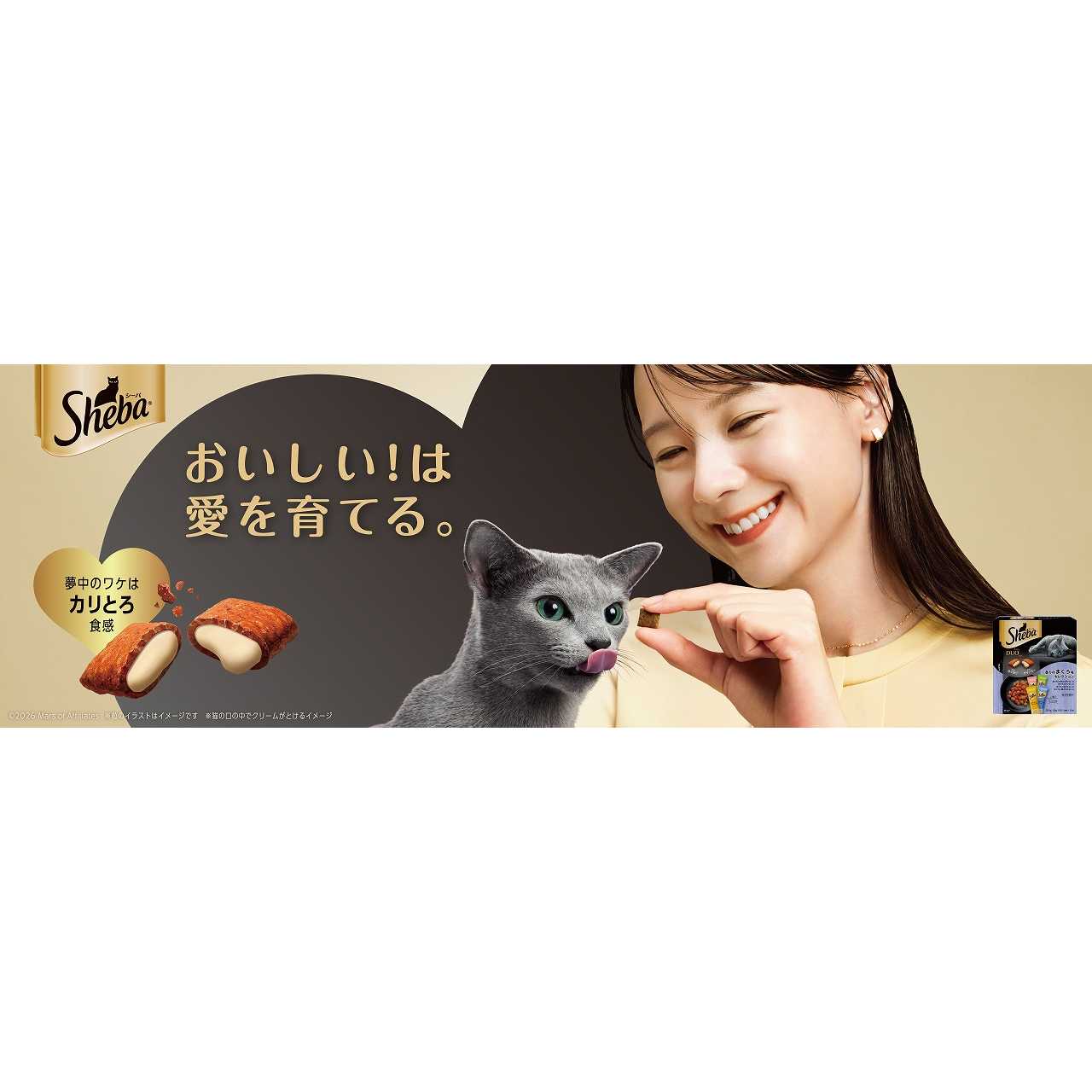マースジャパンリミテッド