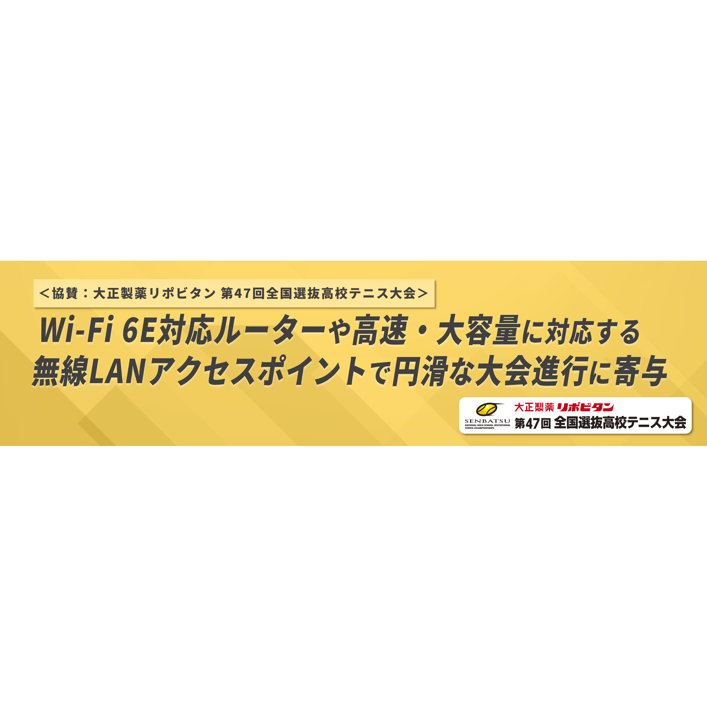 アライドテレシスホールディングス株式会社