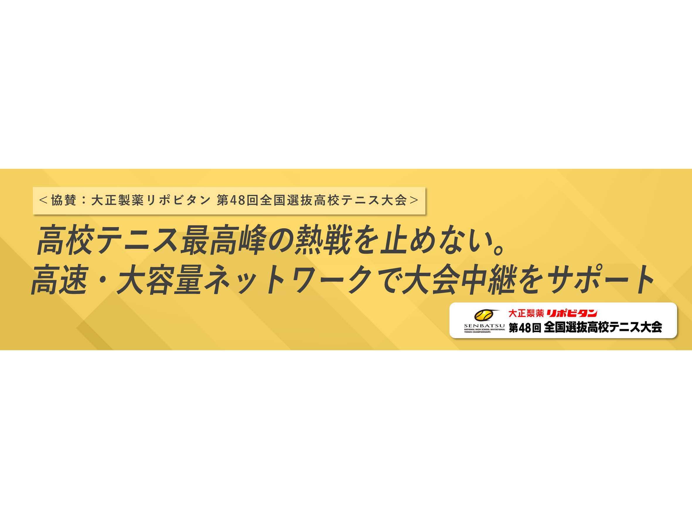 アライドテレシスホールディングス株式会社