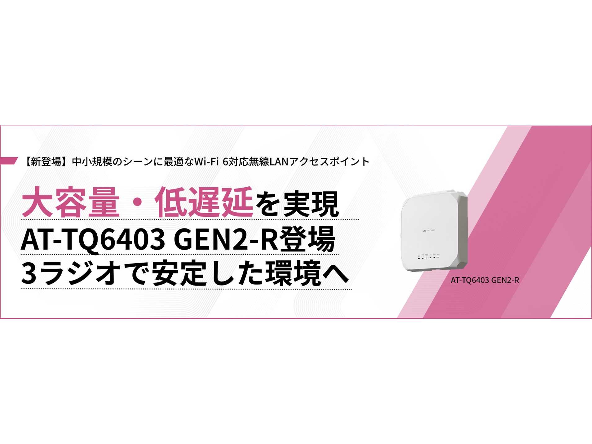 アライドテレシスホールディングス株式会社