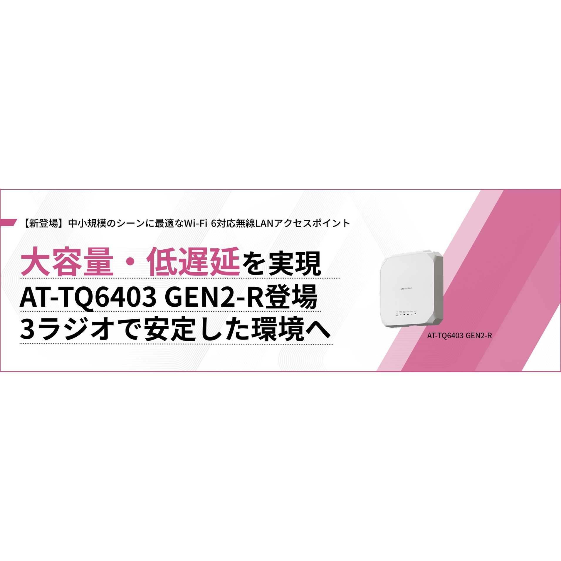 アライドテレシスホールディングス株式会社