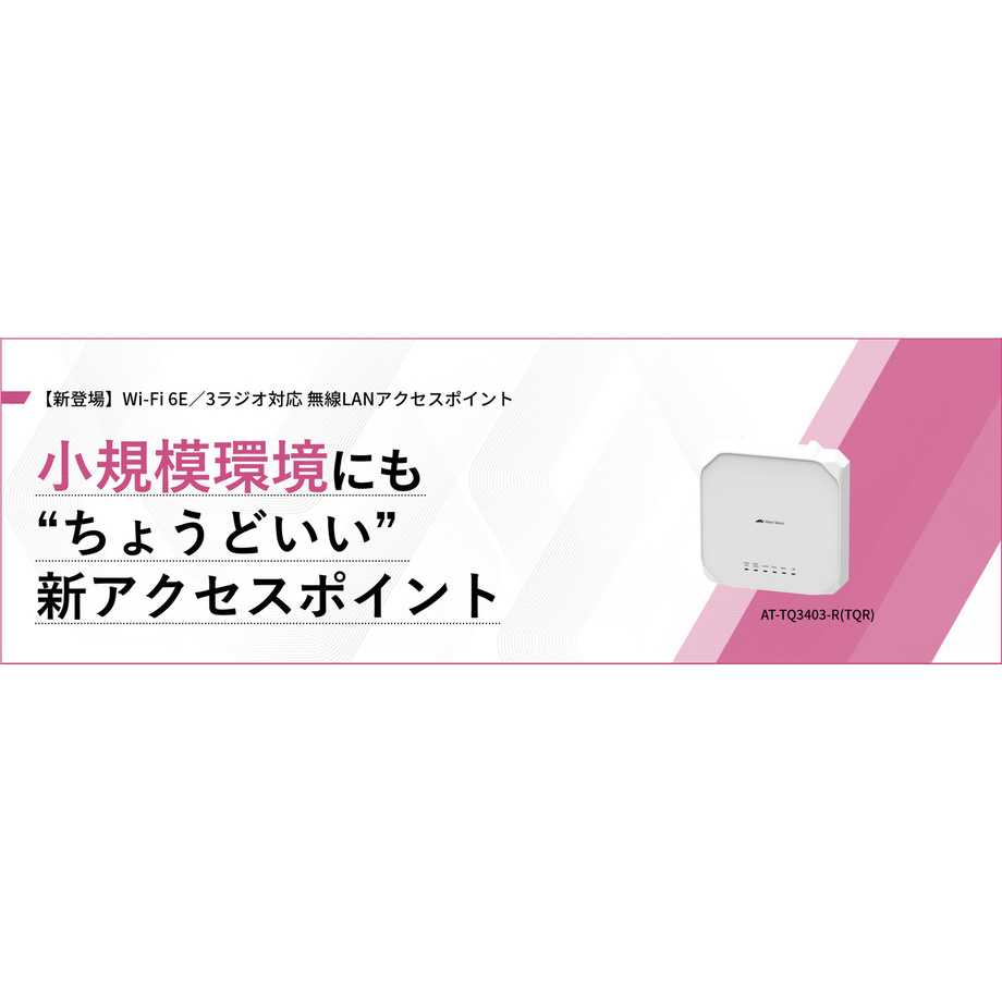 アライドテレシスホールディングス株式会社